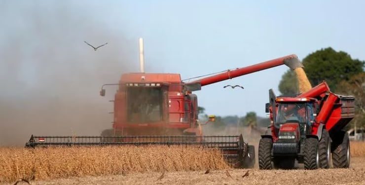 EL PRECIO INTERNACIONAL DE LA SOJA VOLVIÓ A CAER Y ES EL MÁS BAJO DESDE DICIEMBRE DE 2021