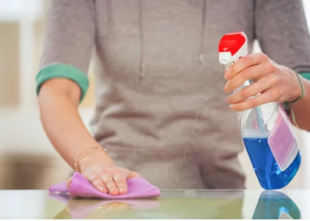 AUMENTOS PARA EL PERSONAL DOMÉSTICO: QUÉ SUELDO COBRARÁ CADA CATEGORÍA A PARTIR DEL MES PRÓXIMO