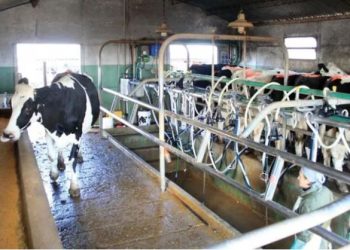 LANZARON UN PROGRAMA DE 7.000 MILLONES DE PESOS PARA ASISTIR A PYMES DEL SECTOR LÁCTEO