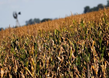 ECONOMÍA PONDRÁ EN MARCHA EN LAS PRÓXIMAS HORAS LAS MEDIDAS ACORDADAS CON EL FMI