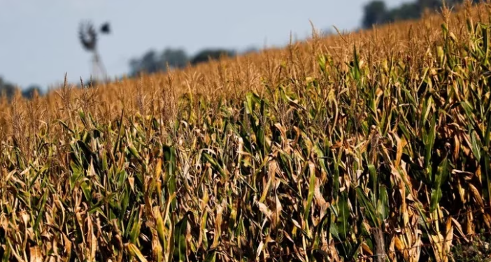 ECONOMÍA PONDRÁ EN MARCHA EN LAS PRÓXIMAS HORAS LAS MEDIDAS ACORDADAS CON EL FMI