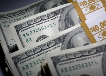 EL GOBIERNO DISPUSO NUEVAS TRABAS PARA OPERAR CON LOS DÓLARES FINANCIEROS