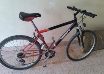 ROMPIÓ UNA SEÑAL DE TRÁNSITO PARA ROBARSE UNA MOTO