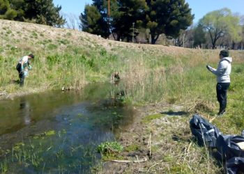 DAMIANI: «NOS SORPRENDIÓ QUE EN TRES HORAS SE JUNTARON MÁS DE 450KG DE RESIDUOS»