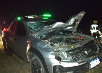 UNA CAMIONETA IMPACTÓ CONTRA UN CABALLO EN LA RUTA