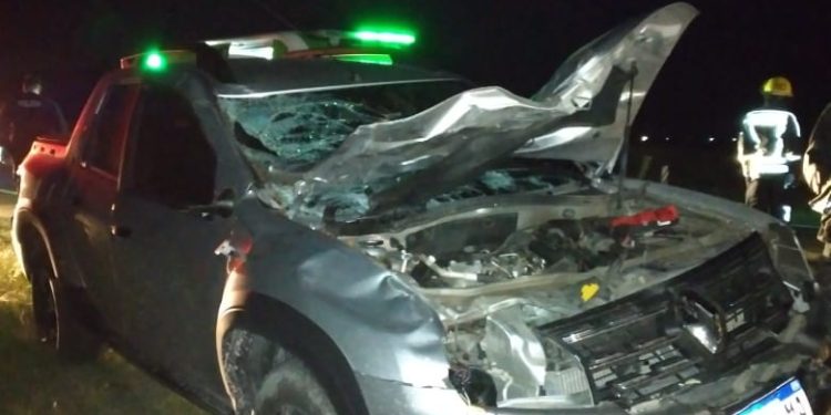 UNA CAMIONETA IMPACTÓ CONTRA UN CABALLO EN LA RUTA