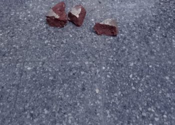 TIRABAN PIEDRAS A UNA CÁMARA DE SEGURIDAD Y FUERON ATRAPADOS