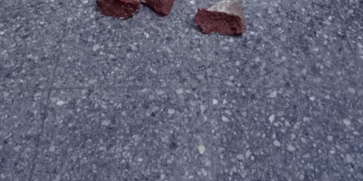 TIRABAN PIEDRAS A UNA CÁMARA DE SEGURIDAD Y FUERON ATRAPADOS