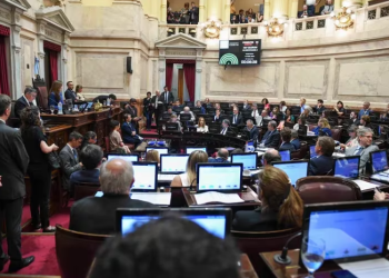 SENADO: EL OFICIALISMO BUSCARÁ DICTAMINAR EL PROYECTO DE BOLETA ÚNICA DE PAPEL LA SEMANA PRÓXIMA