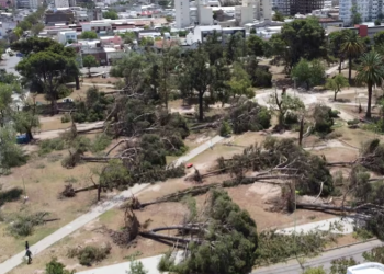 ZOTELO: «NO ESPERÁBAMOS RÁFAGAS DE VIENTO TAN FUERTE COMO SE DIERON»