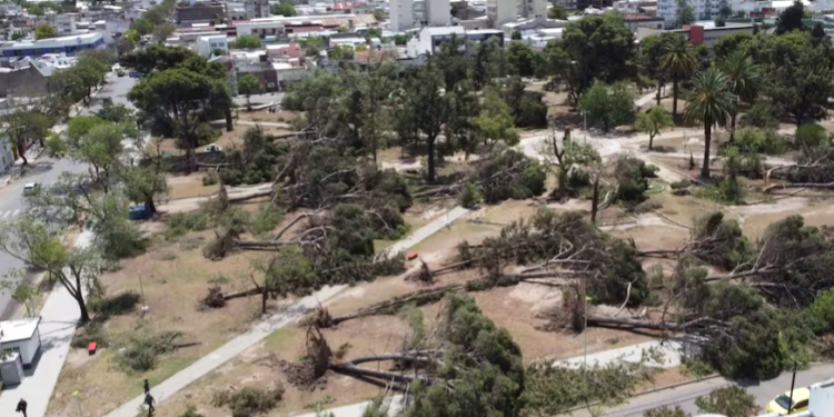 ZOTELO: «NO ESPERÁBAMOS RÁFAGAS DE VIENTO TAN FUERTE COMO SE DIERON»