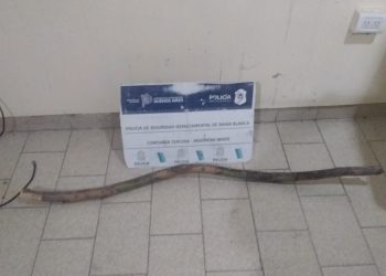 INTENTÓ AGREDIR AL PERSONAL POLICIAL CUANDO DISCUTÍA CON SU PADRE