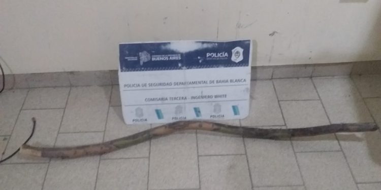 INTENTÓ AGREDIR AL PERSONAL POLICIAL CUANDO DISCUTÍA CON SU PADRE