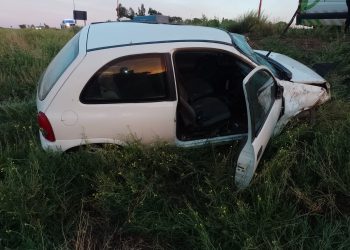UN AUTO IMPACTÓ CON UN CABALLO QUE ESTABA SUELTO EN LA RUTA
