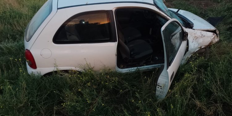 UN AUTO IMPACTÓ CON UN CABALLO QUE ESTABA SUELTO EN LA RUTA