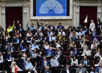 DIPUTADOS VOTARÁ HOY EN PARTICULAR LA LEY ÓMNIBUS EN PLENA TENSIÓN ENTRE EL GOBIERNO Y LAS PROVINCIAS POR EL ARTICULADO