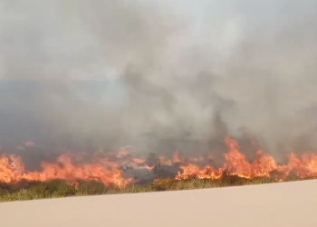 HURST: «HUBO GENTE QUE SE PUSO A QUEMAR CABLES Y GENERÓ LOS INCENDIOS»