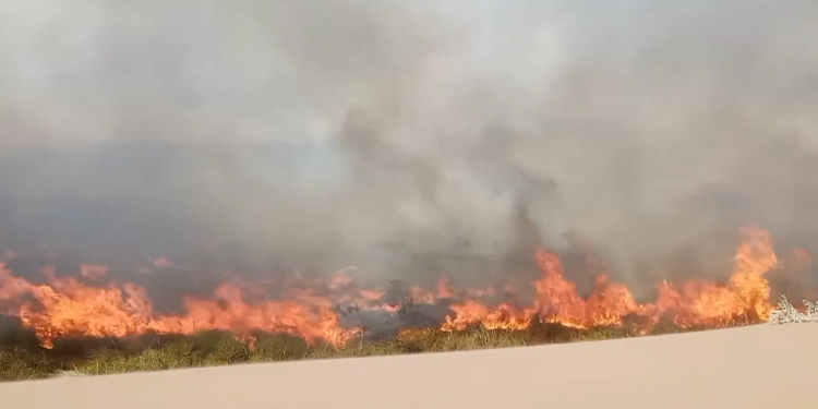 HURST: «HUBO GENTE QUE SE PUSO A QUEMAR CABLES Y GENERÓ LOS INCENDIOS»