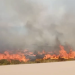 HURST: «HUBO GENTE QUE SE PUSO A QUEMAR CABLES Y GENERÓ LOS INCENDIOS»
