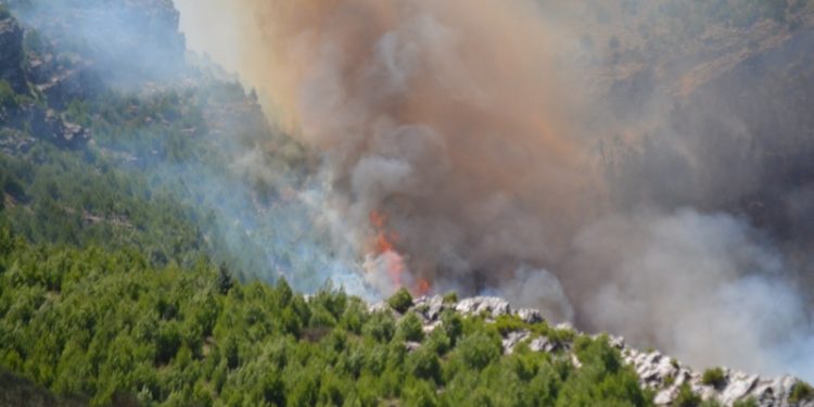 DE VIZIA: «SE QUEMARON 300 HECTÁREAS DE SIERRA»
