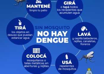 DENGUE: SEGUIMIENTO DE LA SITUACIÓN DURANTE LA ÚLTIMA SEMANA