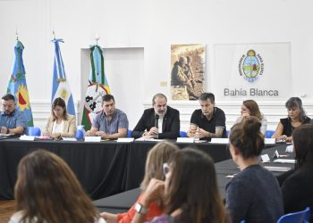 CONSEJO MUNICIPAL DE POLITICAS DE SALUD MENTAL: Presentación y aprobación del programa integral