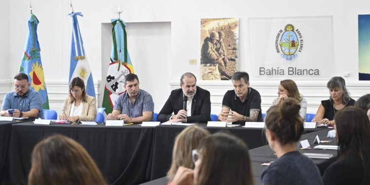 CONSEJO MUNICIPAL DE POLITICAS DE SALUD MENTAL: Presentación y aprobación del programa integral