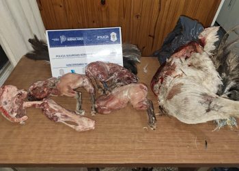 CAZABA ÑANDÚES Y VENDÍA SU CARNE