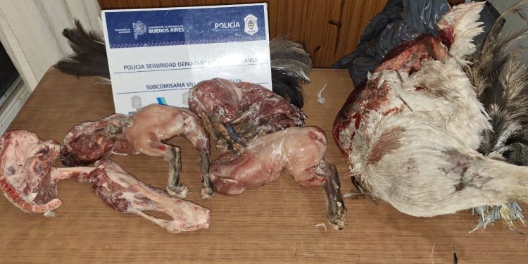 CAZABA ÑANDÚES Y VENDÍA SU CARNE