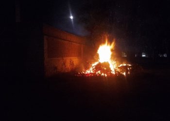 INCENDIO DE RAMAS EN EL PARQUE ILLIA