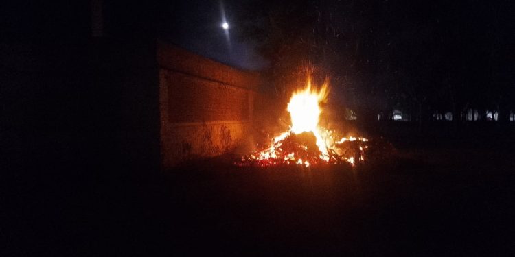 INCENDIO DE RAMAS EN EL PARQUE ILLIA