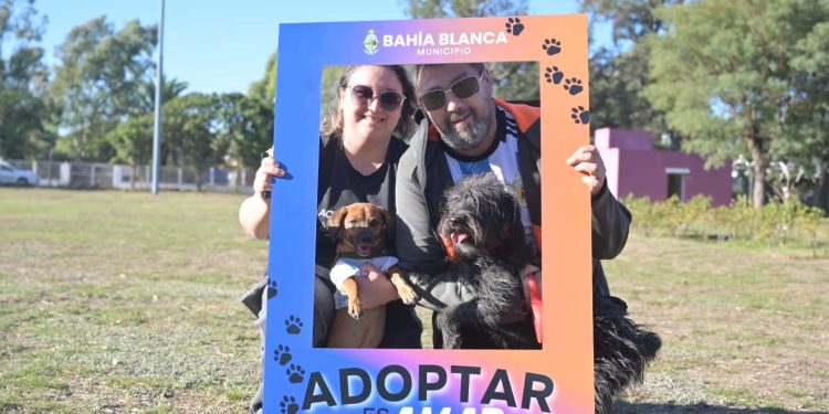 YA FUNCIONA ADOPTAME, EL PROGRAMA DE ADOPCIÓN ANIMAL DEL MUNICIPIO