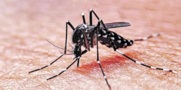 CONTINÚAN LAS TAREAS DE PREVENCIÓN DEL DENGUE