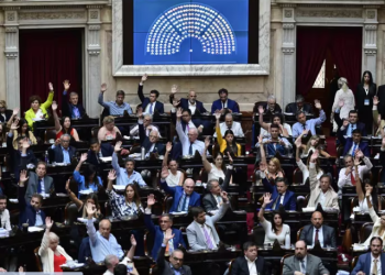 LEY BASES: EL GOBIERNO LOGRÓ LA APROBACIÓN EN GENERAL Y AHORA EMPIEZA OTRA LARGA DISCUSIÓN SOBRE ARTÍCULOS CLAVES