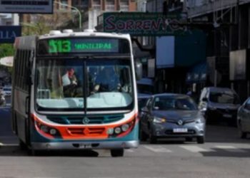 CÓMO FUNCIONARÁN LOS SERVICIOS EN BAHÍA DURANTE EL FERIADO DEL MIERCOLES