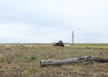 MUERTE DE LOS ROBACABLES: SOSPECHAN QUE EL SUBCOMISARIO ESTUVO EN EL LUGAR DE LOS HECHOS EL LUNES