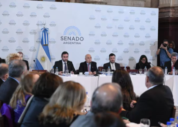 LEY BASES Y PAQUETE FISCAL: EL GOBIERNO EMPIEZA LA NEGOCIACIÓN ARTÍCULO POR ARTÍCULO Y SE REÚNE MAÑANA CON LOS SENADORES DIALOGUISTAS