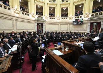 EL GOBIERNO SE ENFRENTA A UN NUEVO DESAFÍO EN EL SENADO