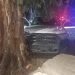 UN MÓVIL POLICIAL CHOCÓ CON UN AUTO Y TERMINÓ SOBRE UN ÁRBOL