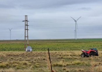 CAUSA ROBACABLES: DECLARÓ GALLARDO Y APUNTÓ CONTRA UN TESTIGO