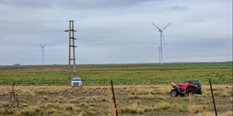 CAUSA ROBACABLES: DECLARÓ GALLARDO Y APUNTÓ CONTRA UN TESTIGO