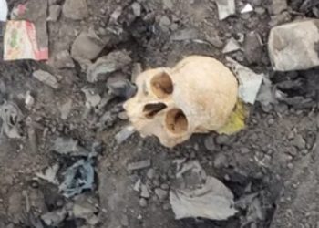 ENCUENTRAN RESTOS ÓSEOS EN EL RELLENO SANITARIO DE PUNTA ALTA