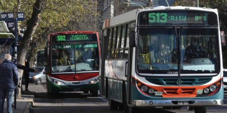 CÓMO FUNCIONARÁN LOS SERVICIOS EN BAHÍA BLANCA EL 9 DE JULIO