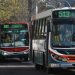 CÓMO FUNCIONARÁN LOS SERVICIOS EN BAHÍA BLANCA EL 9 DE JULIO