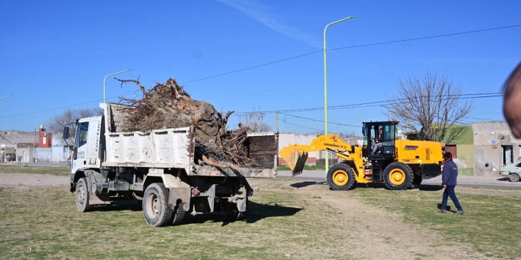 CONTINUAN LOS OPERATIVOS DE MEJORAMIENTO URBANO EN DISTINTOS SECTORES DE LA CIUDAD