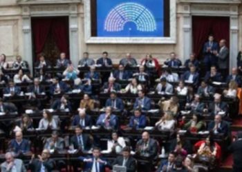 INGRESÓ A DIPUTADOS EL PROYECTO PARA BAJAR LA EDAD DE IMPUTABILIDAD A 13 AÑOS