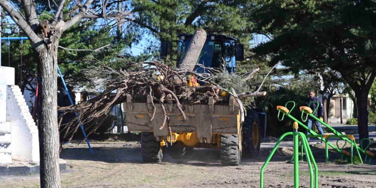 NUEVO OPERATIVO DE LIMPIEZA EN LA CIUDAD