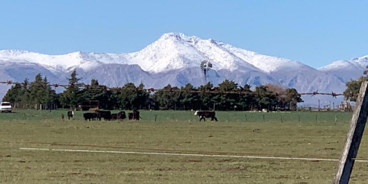 ALESSANDRINI: «GRACIAS A LA NIEVE TUVIMOS MUCHO TURISMO DE DÍA, DONDE LA GENTE PUDO DISFRUTAR DE ESA POSTAL»