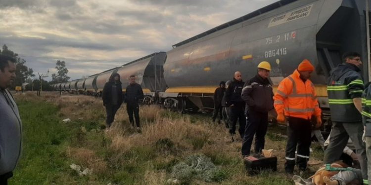 UNA MUJER SUFRIO UNA LESION POR UN CHOQUE ENTRE UN AUTO Y UN TREN