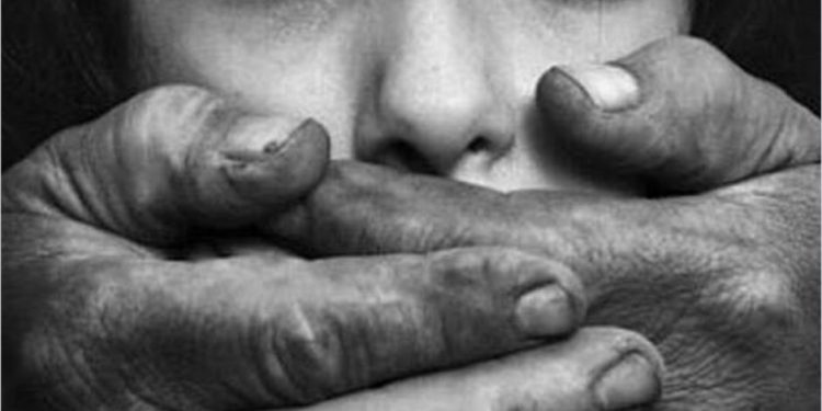 CASTRO: «NECESITAMOS QUE LOS VECINOS SE COMPROMETAN MÁS PARA DENUNCIAR ESTE TIPO DE DELITOS»